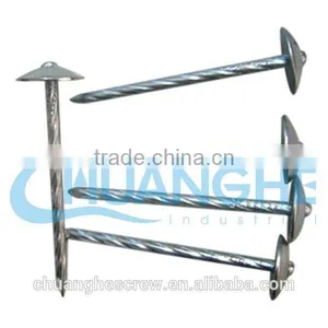 Umbrella Head Roofing Nails Factory Super Price thumbnail-1