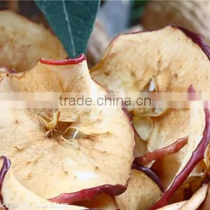 No Damage Apple Chips Dryer/apple Slices Drying Oven With Low Temperature thumbnail-4