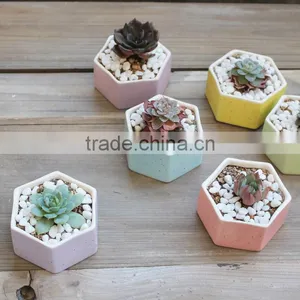 Hot Sale Rainbow Hexagon Flower Pot Ceramic for Planter thumbnail-4