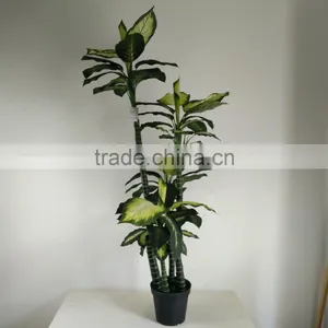Fake Decorative Dieffenbachia Rohdea Artificial Evergreen Wholesale thumbnail-2