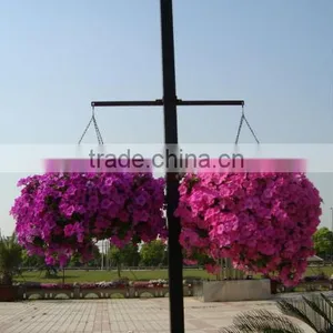 Self Watering Hanging Planters thumbnail-2