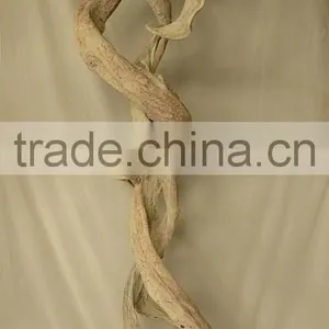Liana Sculpture thumbnail-3