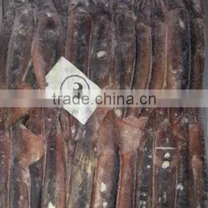 150-200g Frozen Illex Squid thumbnail-1