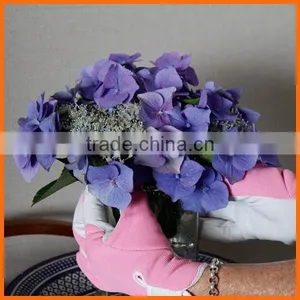 Women Slim-fit Work Glove/Ladies Leather Garden Glove thumbnail-6