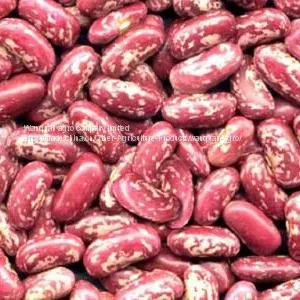 Red Speckleed Kidney Bean thumbnail-1