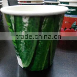 Paper Box Planting,mini Garden Planter,best Selling Products thumbnail-1