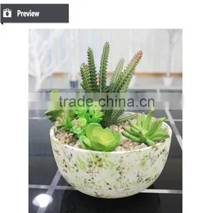 Artificial Succulents Artificial Mini Succulents Artificial Succulents Wholesale thumbnail-5