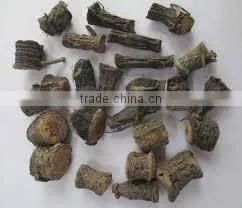Black Musli thumbnail-1