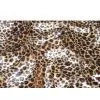 Sell Polyester Brushed Fabric thumbnail-1