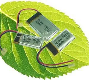Rechargeable Batteries thumbnail-4