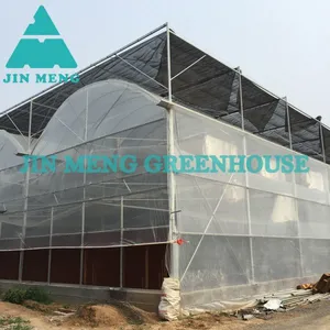 Professional Portable Greenhouse Plastic Film Greenhouse For Tomato Plantation thumbnail-1