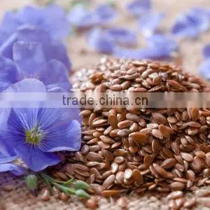 FLAX SEED thumbnail-1