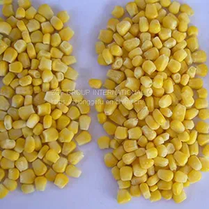 Frozen Sweet Corn thumbnail-2