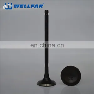 Rich Stock Guaranteed SMR994497 SMR994498 4g69 Engine Valve Auto Parts thumbnail-5