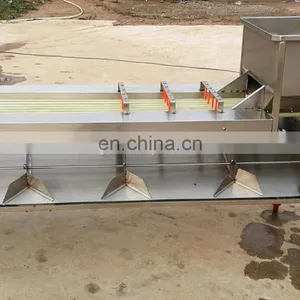 Automatic Sorter Citrus Fruits Vegetable Size Sorting Grading Machine for Dates Olive Apple thumbnail-3