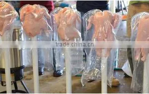 Environmental and Safe Shrink Bag for Poultry thumbnail-1