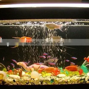Hot Sell Acrylic Bullet Fish Tanks thumbnail-4