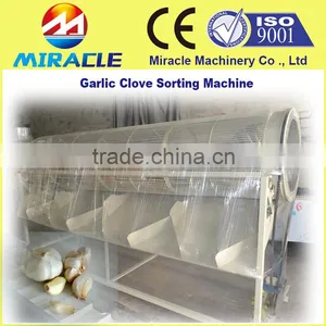 Sorter Machine for Garlic Clove/dry Garlic Size Sorting & Grading Machine thumbnail-1