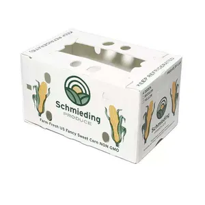 PP Corrugated Plastic BOX Corflute Correx Okra Box for Agriculture Vegetable Box thumbnail-1