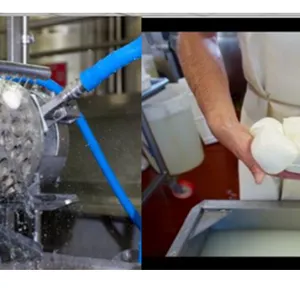 Mozzarella Cheese Cutting Cooking Stretching Moulding Making Machine thumbnail-6