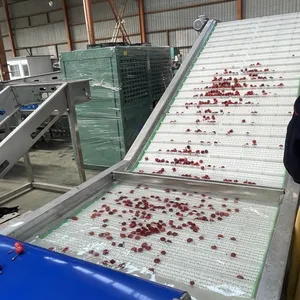 Automatic Multifunctional Cherry Sorting Machine for Fruit Processing Line thumbnail-1
