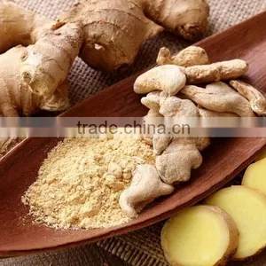 100% Original Quality Ginger Powder For Trade thumbnail-1