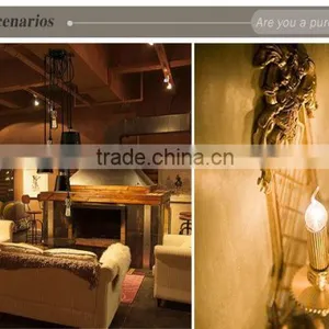 E27 2W 4W 6W 8W LED Chips LED Bulb Light Lamps Glass Globe Lamp Edison Led Filament Bulb Warm White 110V 240V Lampada Led thumbnail-6