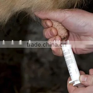 Dry Cow Therapy Syringe thumbnail-3