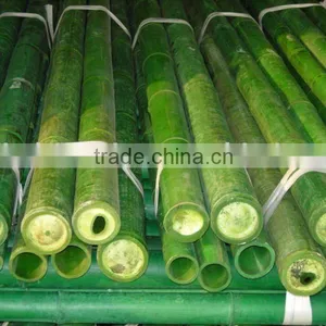 Bamboo Pole Sun-029 thumbnail-1
