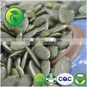 Agricultural Products Non-Edible Seeds Pumpkin thumbnail-1