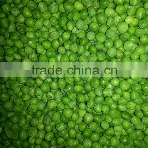 Iqf Frozen Green Peas With Good Quality and Hot Price thumbnail-3