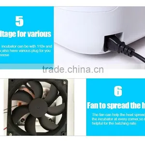 Solar Power Egg Incubator/hatcher Cheap Poultry Egg Incubators Prices AI-56S thumbnail-5