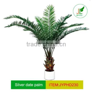 Short Trunk Date Palm Tree Artificial for Indoor Decor thumbnail-1
