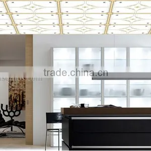 Foshan Factory Suspended Ceiling Tiles With Led Suspended Ceiling Light thumbnail-1