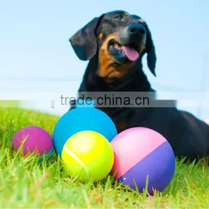 Wholesale Solid Pet Ball thumbnail-1