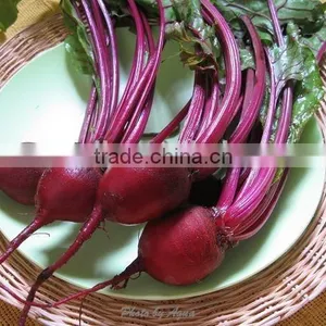 Canned Beetroot Slices 3kg thumbnail-3