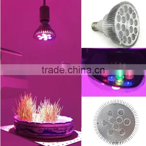 XQD Cob Led Grow Light Bulb Led Par Hydroponic Full Spectrum thumbnail-4