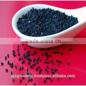 Pure Onion Seeds thumbnail-2