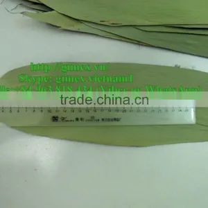 Viet Nam Big Size Bamboo Leaves thumbnail-1