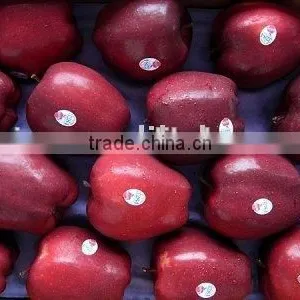 Red Huaniu Apple (delicious Apple ) thumbnail-1