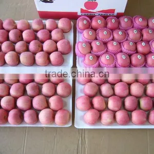 China Yantai Best Price Fuji Apple thumbnail-1