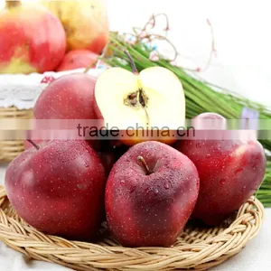 Yi Tian Red Delicious Apple Famous Red Huaniu Apple thumbnail-3