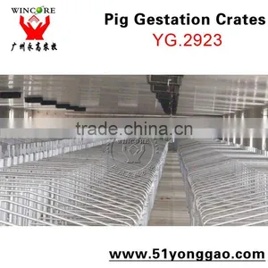 Pig Gestation Crate For Pig Farm Equipment,Poultry Equipment Sow Limitation Crate thumbnail-2