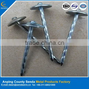 Roofing Nails for Construction thumbnail-1