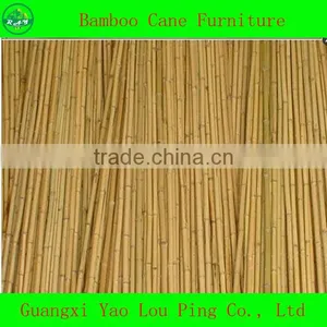 Fencing Pole Bamboo Canes For Sale thumbnail-1