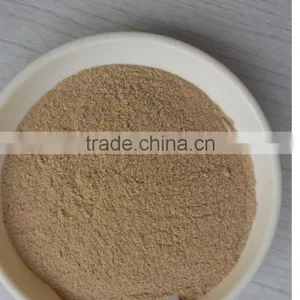 Brewers Yeast Powder 42% for Aquaculture thumbnail-1