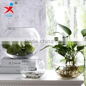 Transparent Round /sitting Room/aquarium/meat Plants Produced the Ecological Bottle Container/fishnet thumbnail-1