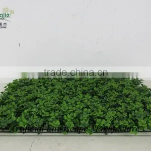 Artificial Boxwood Carpet ,green Wall Hedge Decoration thumbnail-4