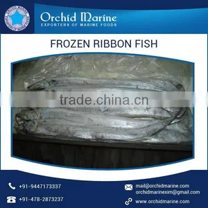 Advanced Technology Processed Frozen Ribbon Fish thumbnail-1