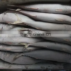 New Fish Frozen WR Pacific Mackerel Seafood thumbnail-2